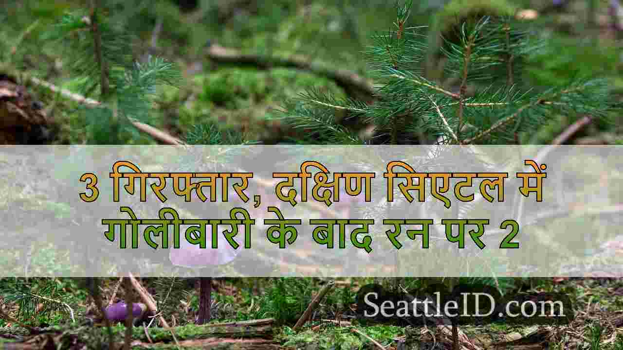 सिएटल समाचार SeattleID