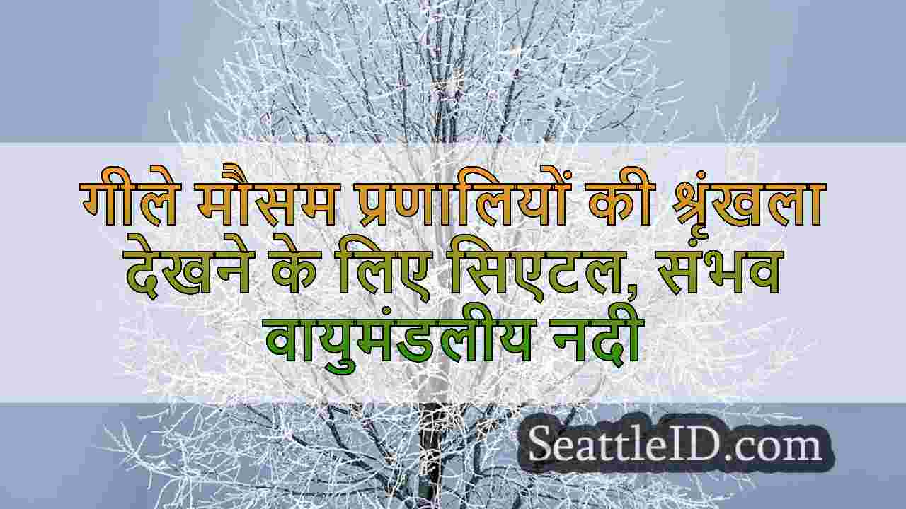 सिएटल समाचार SeattleID