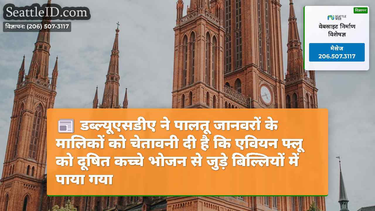सिएटल समाचार SeattleID