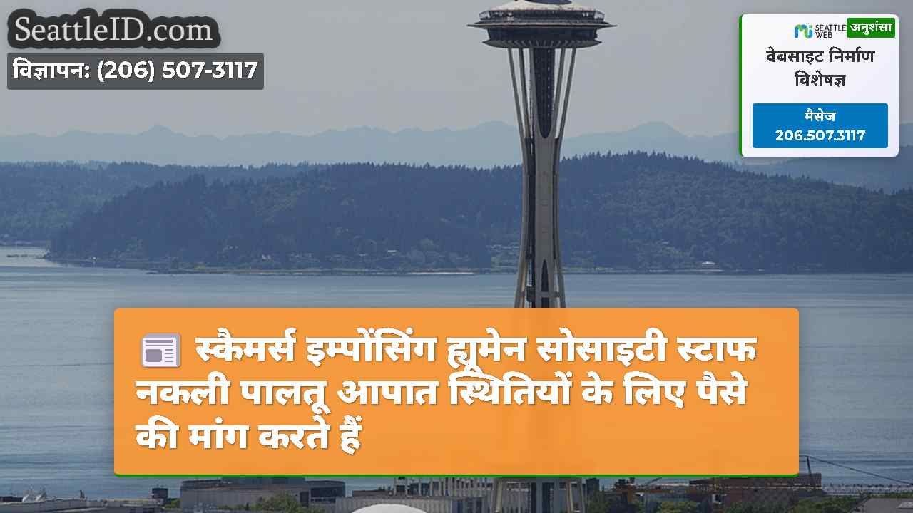 सिएटल समाचार SeattleID
