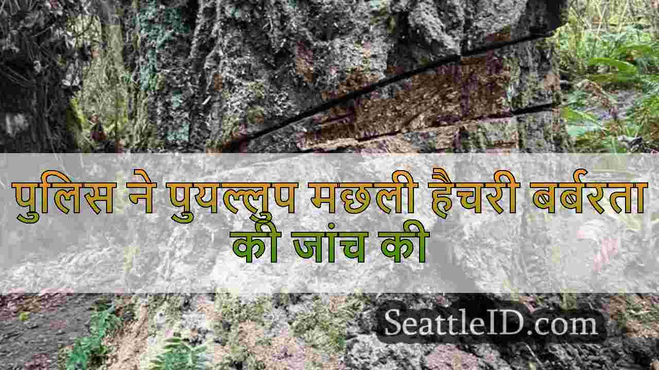 सिएटल समाचार SeattleID