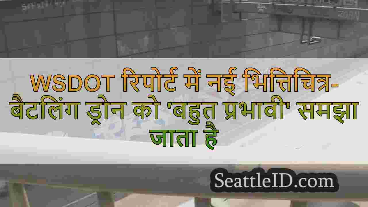सिएटल समाचार SeattleID