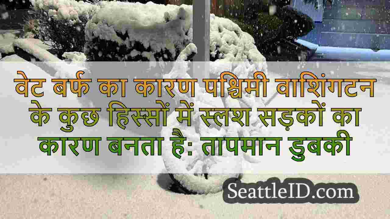 वेट बर्फ का कारण पश्चिमी वाशिंगटन के