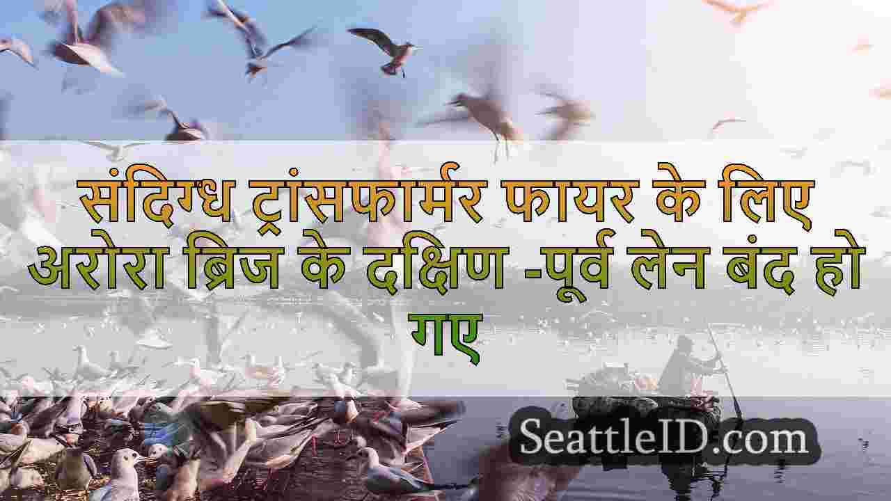 सिएटल समाचार SeattleID