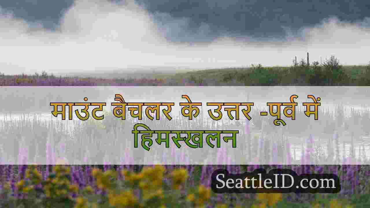 सिएटल समाचार SeattleID