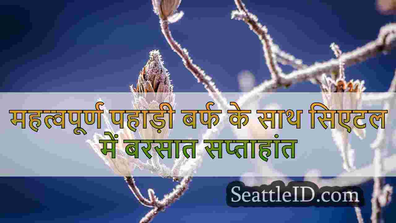 सिएटल समाचार SeattleID