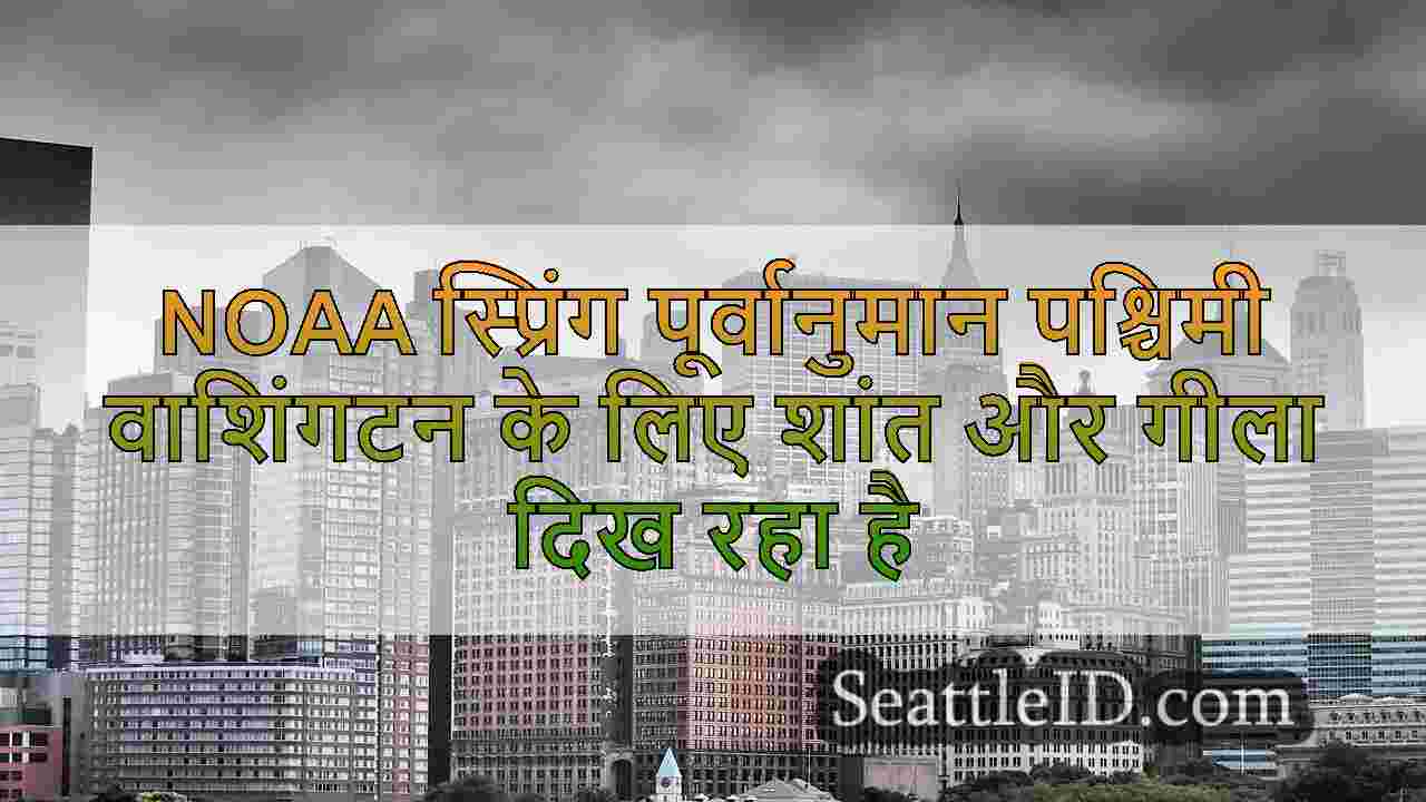 सिएटल समाचार SeattleID
