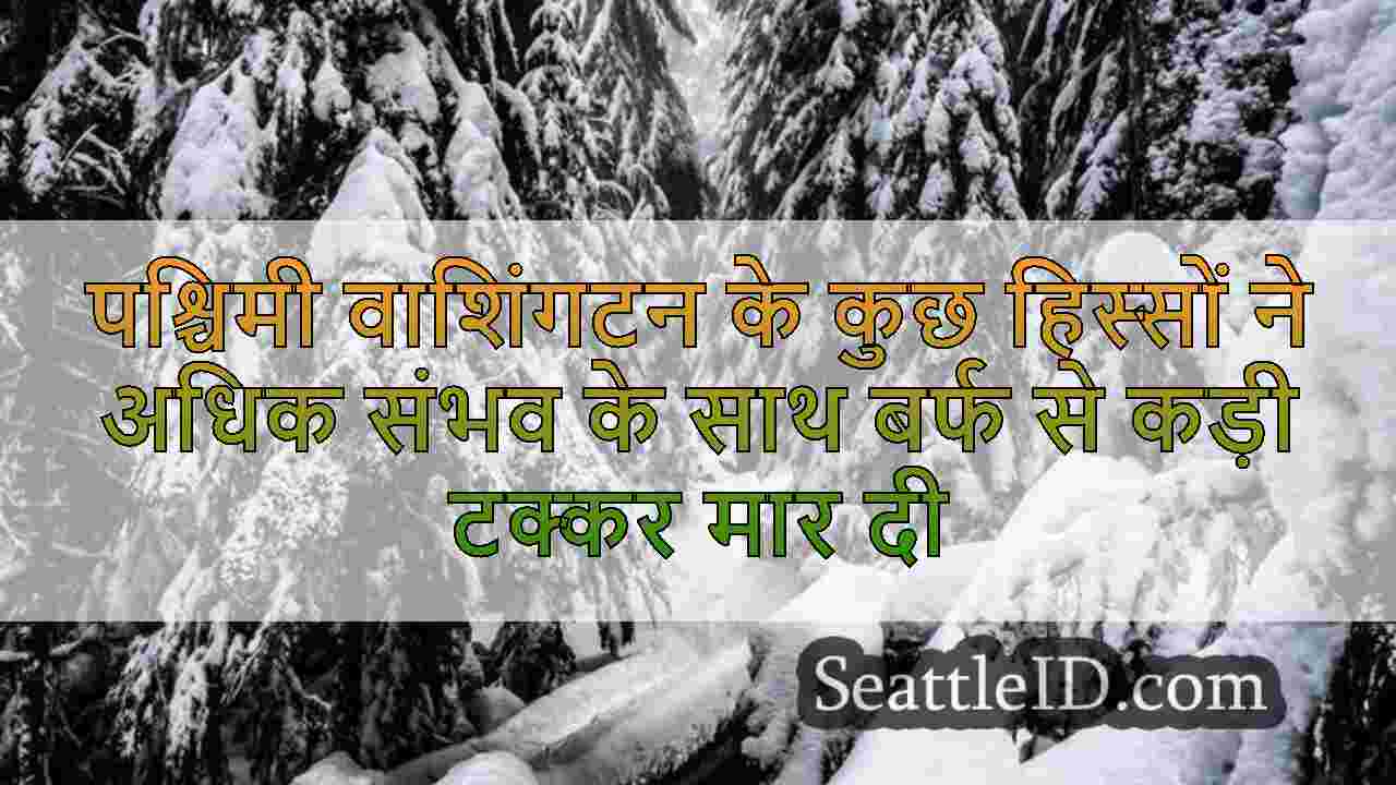 सिएटल समाचार SeattleID