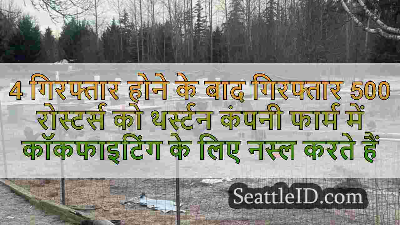4 गिरफ्तार होने के बाद गिरफ्तार 500