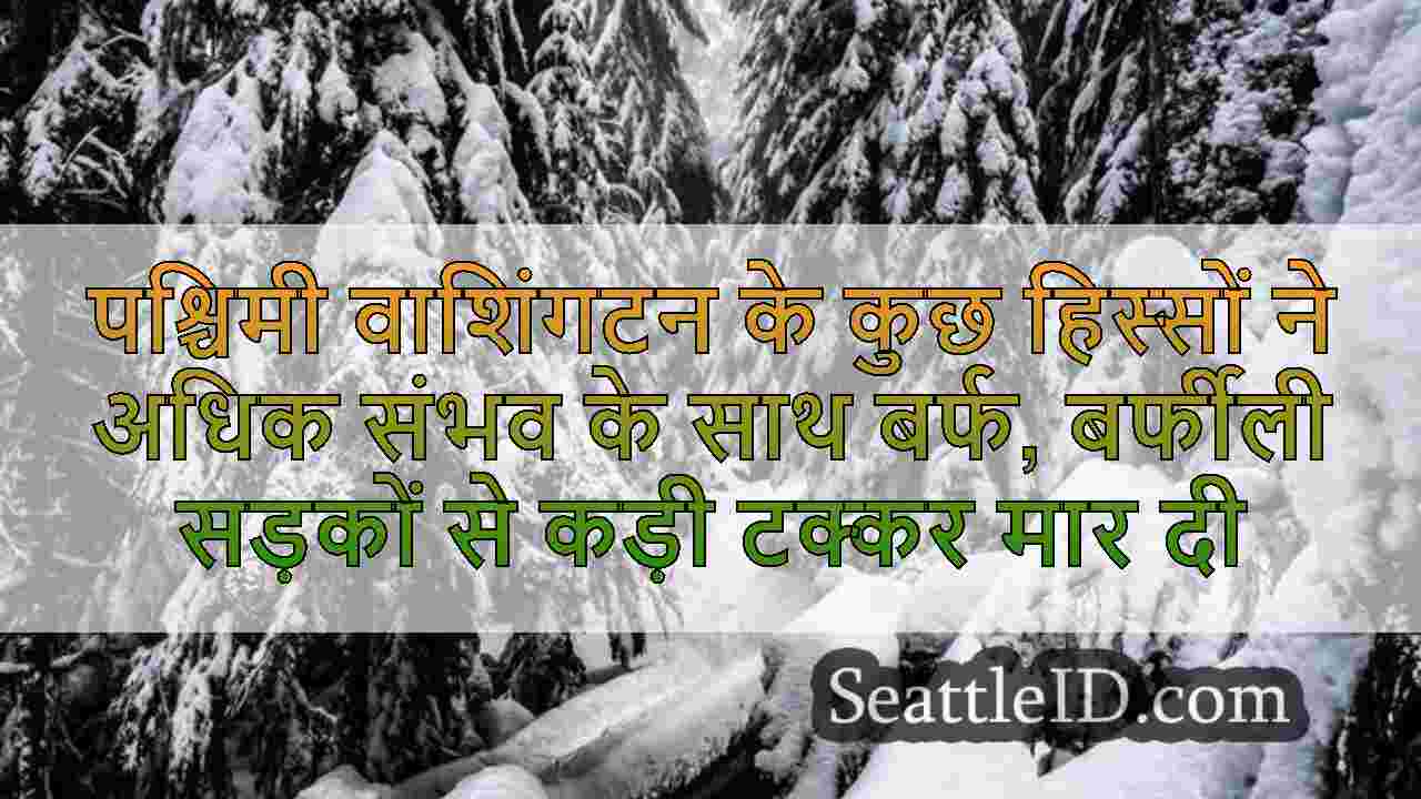 सिएटल समाचार SeattleID
