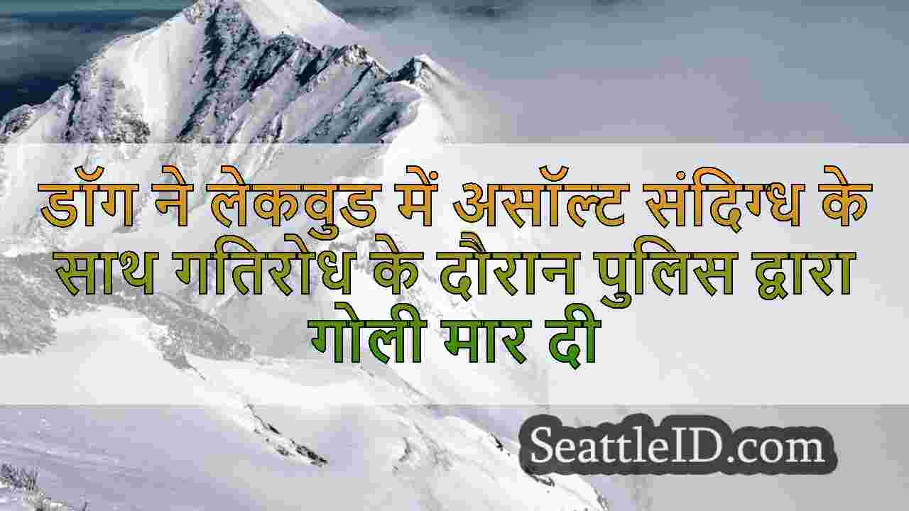 सिएटल समाचार SeattleID