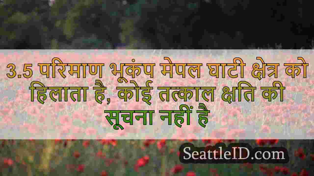 सिएटल समाचार SeattleID