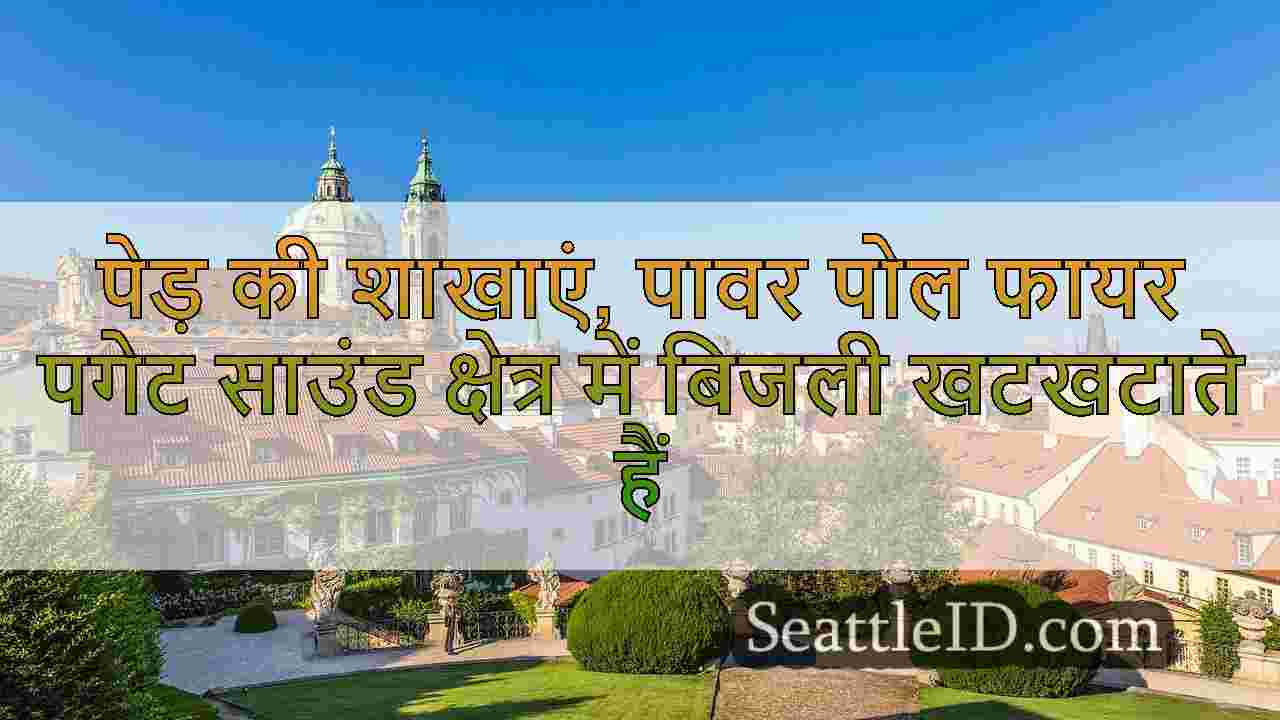 सिएटल समाचार SeattleID