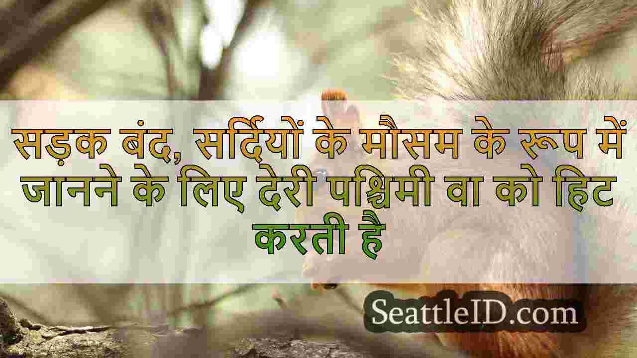 सिएटल समाचार SeattleID