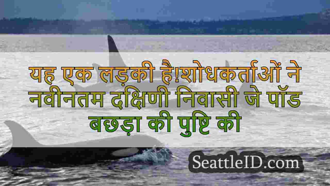सिएटल समाचार SeattleID