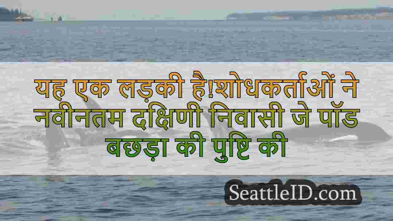 सिएटल समाचार SeattleID