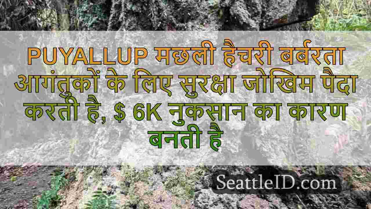 सिएटल समाचार SeattleID
