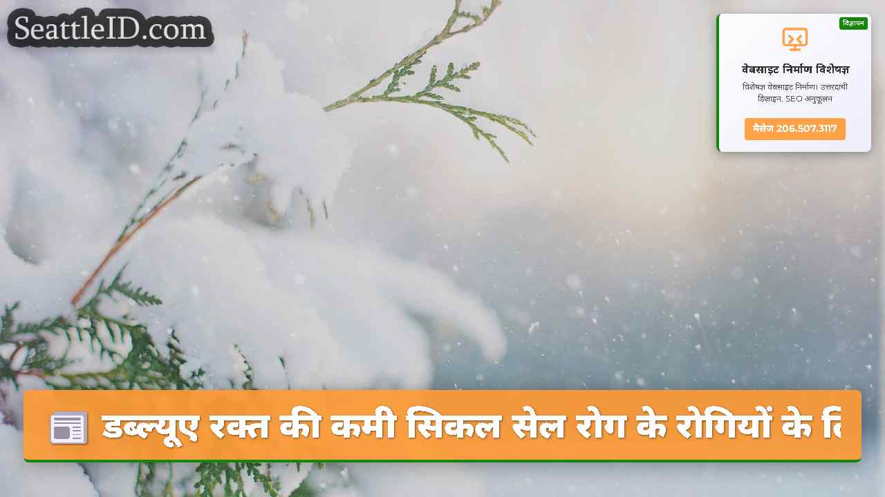 सिएटल समाचार SeattleID