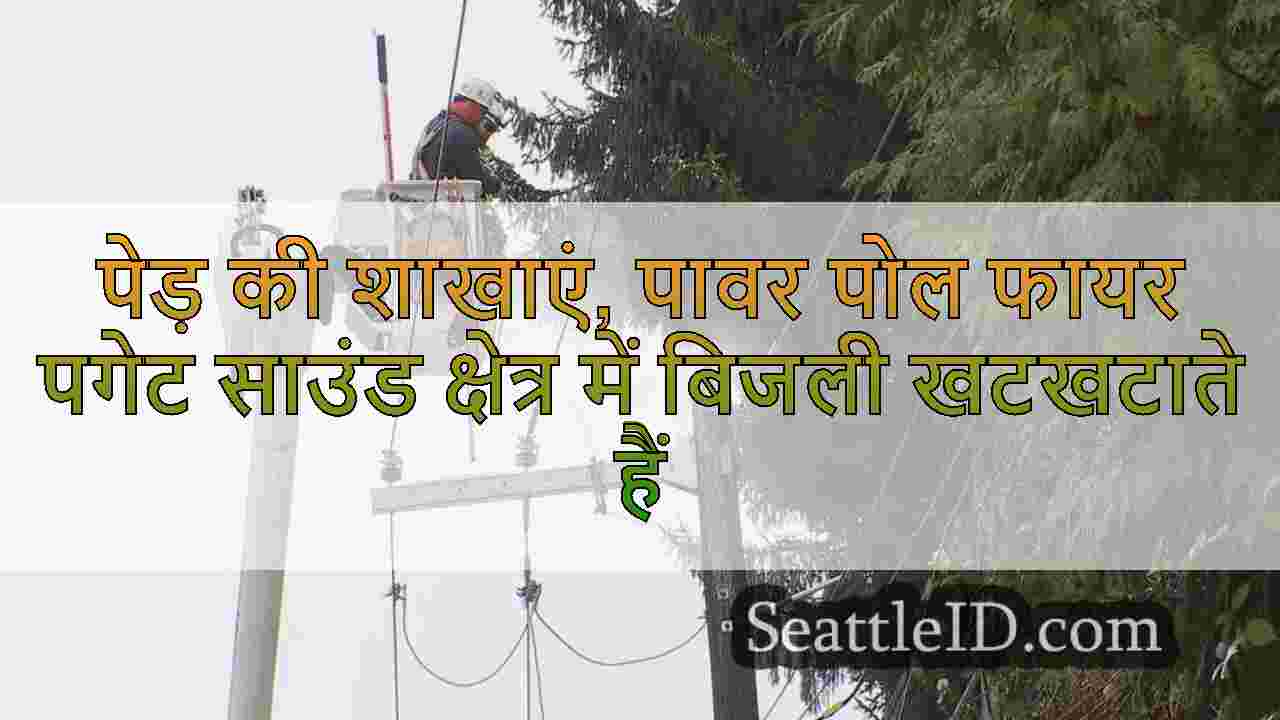 पेड़ की शाखाएं, पावर पोल फायर पगेट