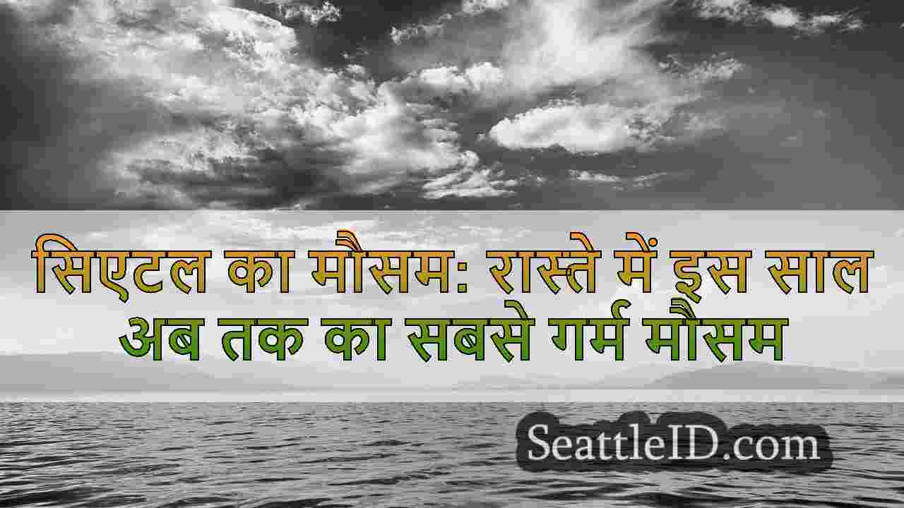 सिएटल समाचार SeattleID