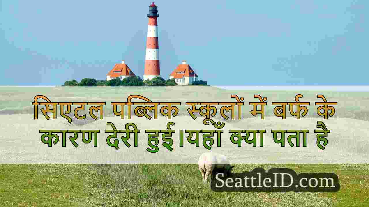 सिएटल समाचार SeattleID