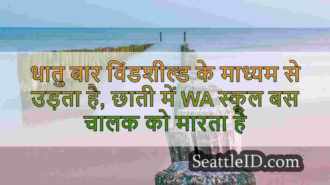 धातु बार विंडशील्ड के माध्यम से उड़ता