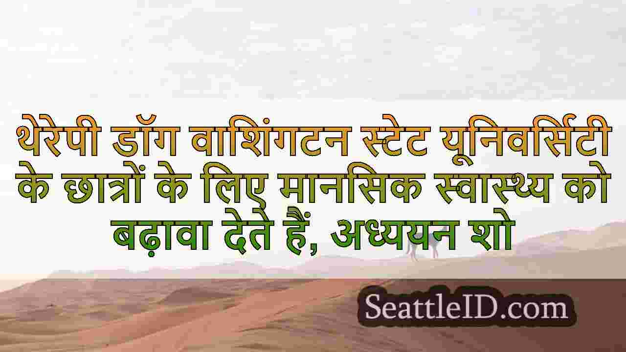 सिएटल समाचार SeattleID
