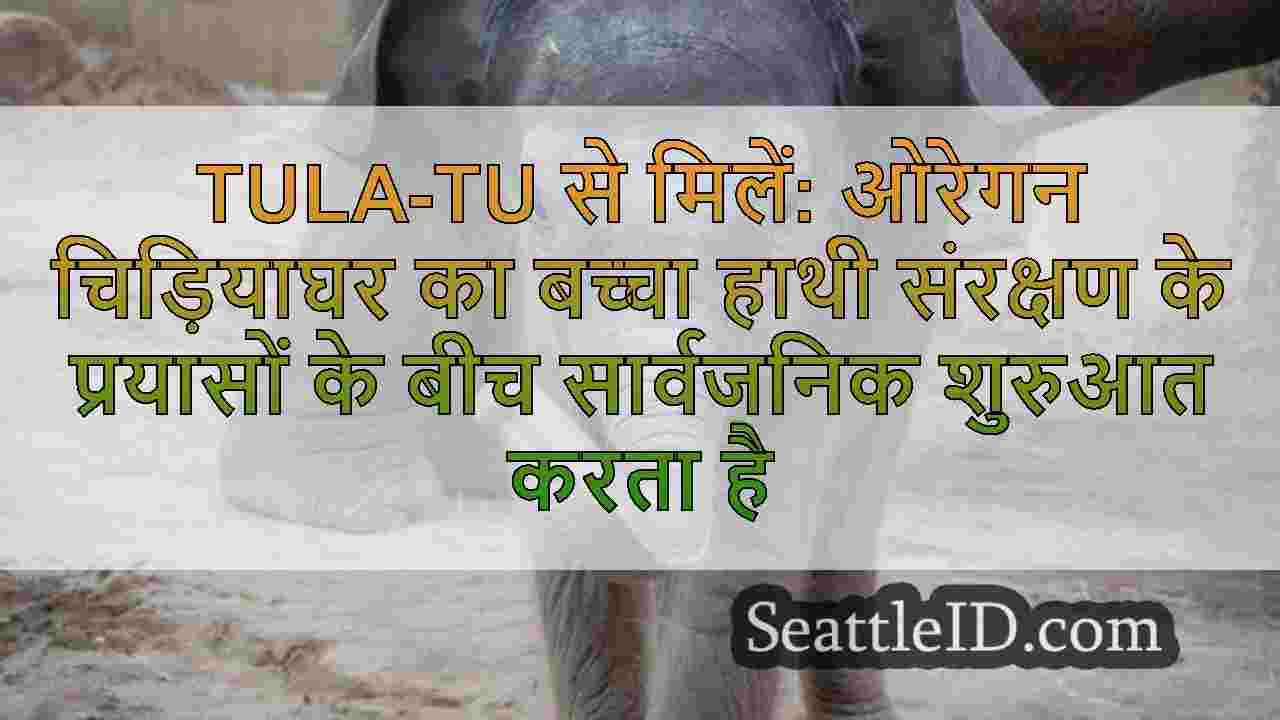 सिएटल समाचार SeattleID