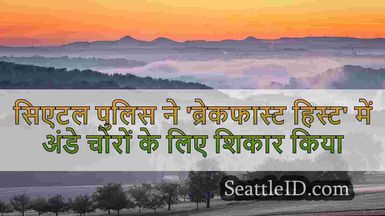 सिएटल समाचार SeattleID