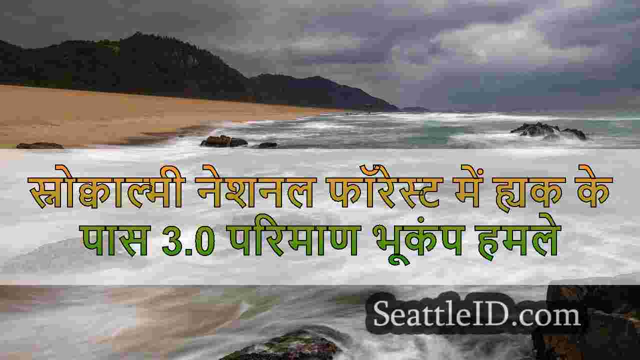 सिएटल समाचार SeattleID