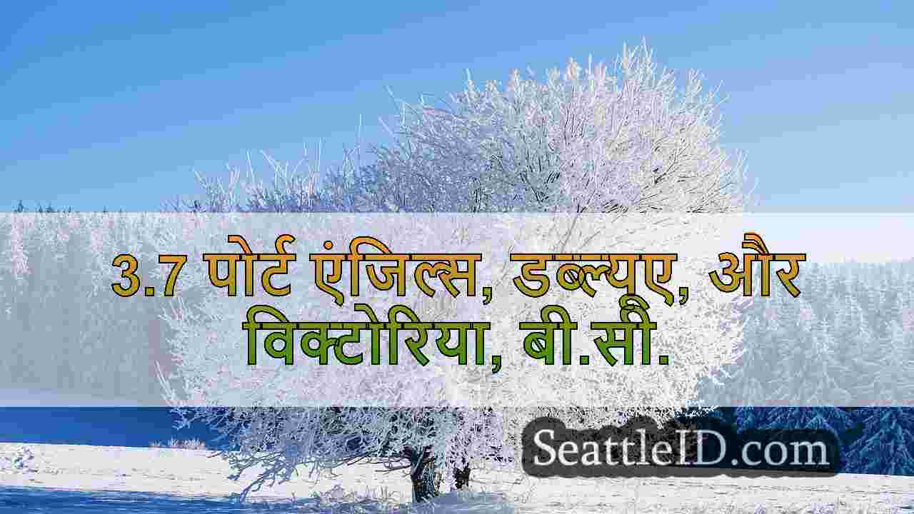 सिएटल समाचार SeattleID