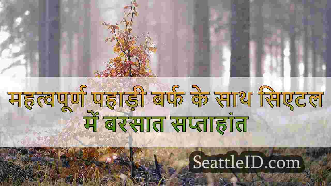 सिएटल समाचार SeattleID