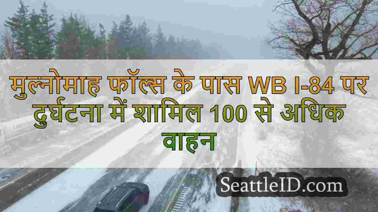 सिएटल समाचार SeattleID