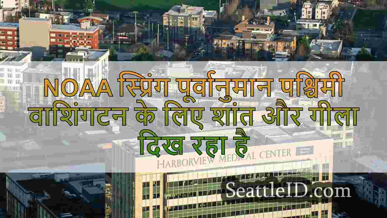 सिएटल समाचार SeattleID