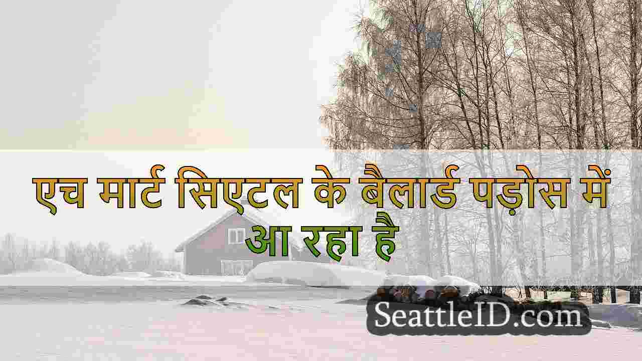 सिएटल समाचार SeattleID