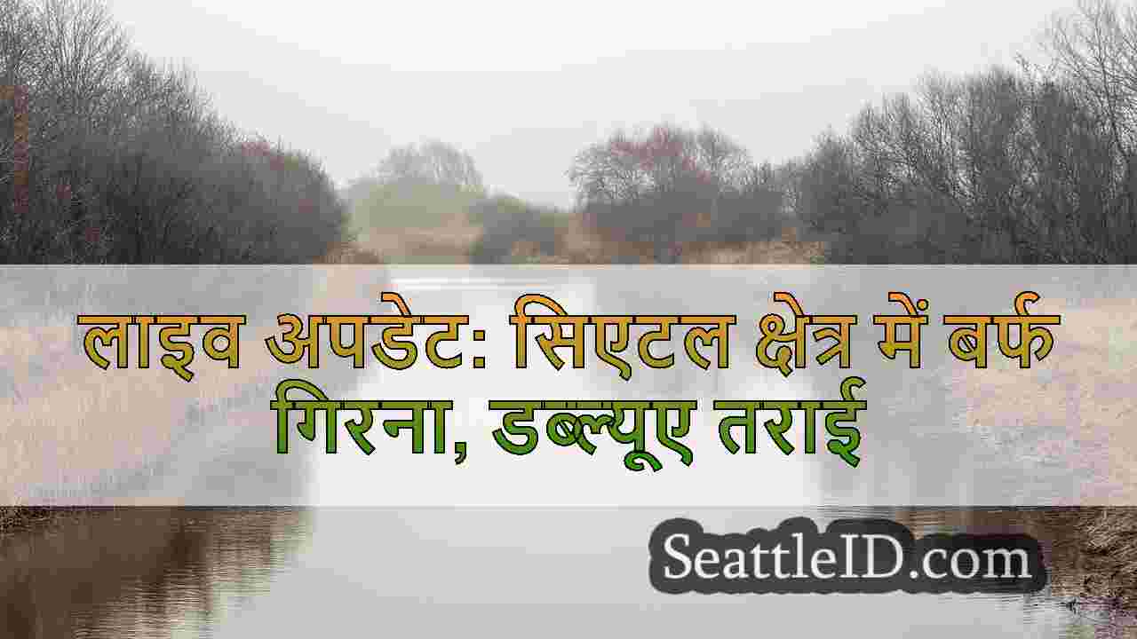 सिएटल समाचार SeattleID