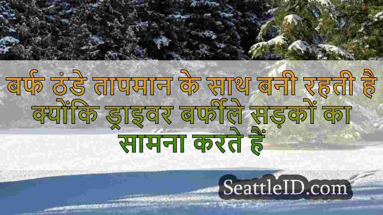 सिएटल समाचार SeattleID