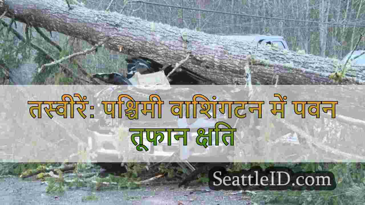सिएटल समाचार SeattleID