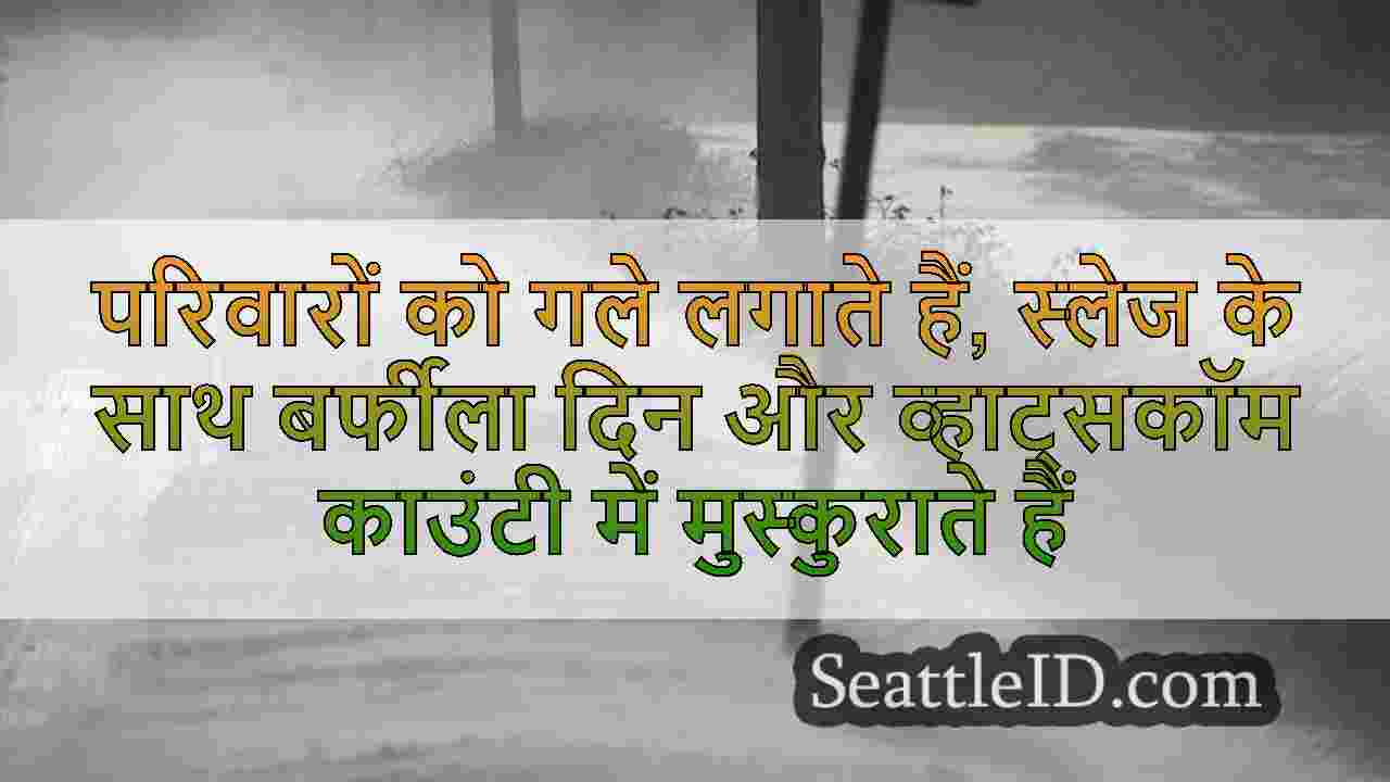 सिएटल समाचार SeattleID