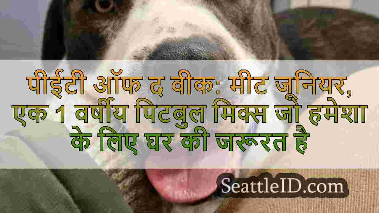 सिएटल समाचार SeattleID