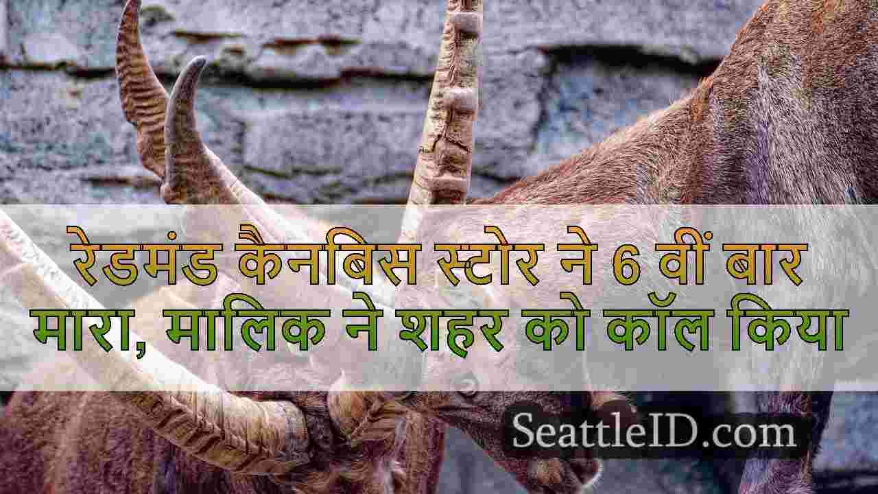 सिएटल समाचार SeattleID