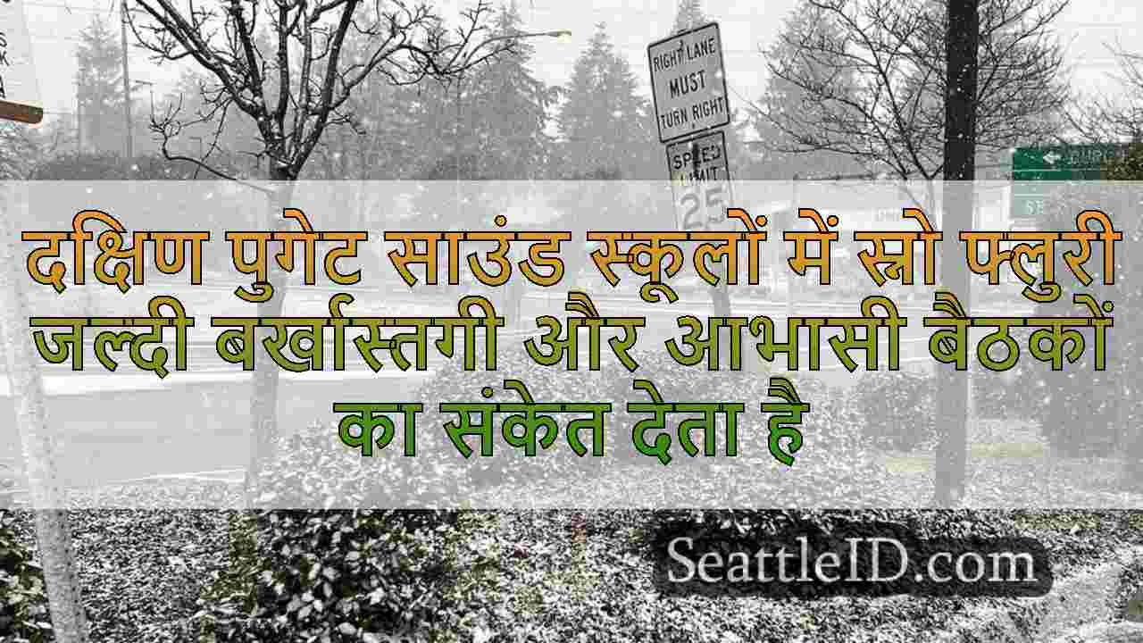 दक्षिण पुगेट साउंड स्कूलों में स्नो