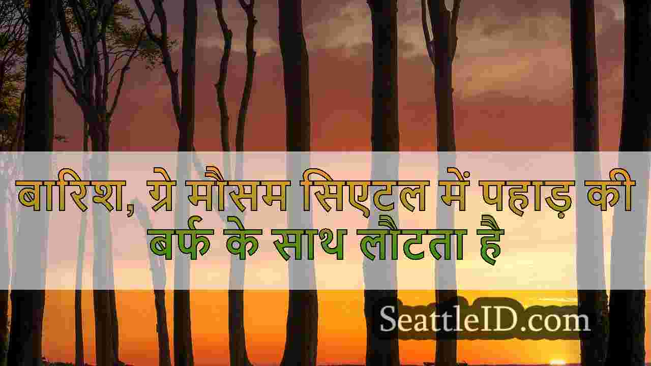 सिएटल समाचार SeattleID