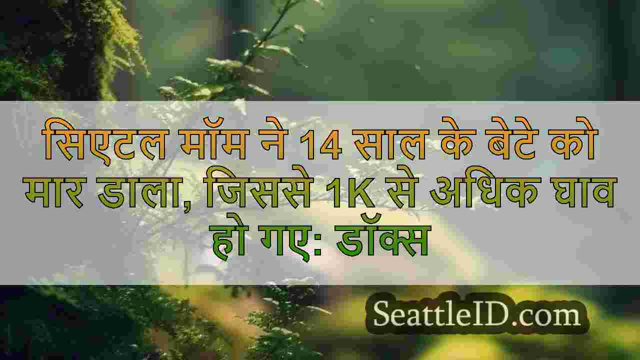 सिएटल समाचार SeattleID