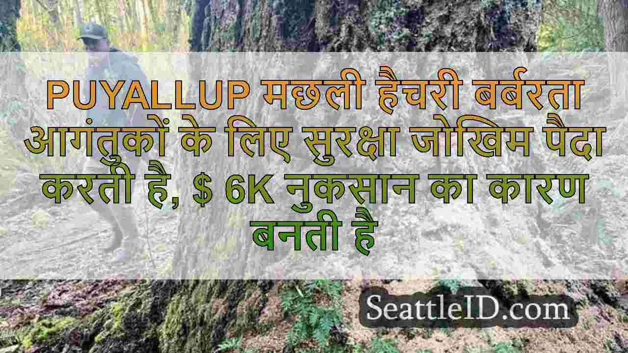 सिएटल समाचार SeattleID