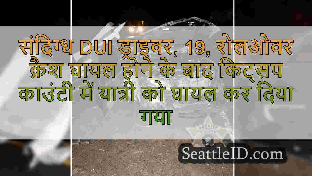 संदिग्ध DUI ड्राइवर, 19, रोलओवर क्रैश
