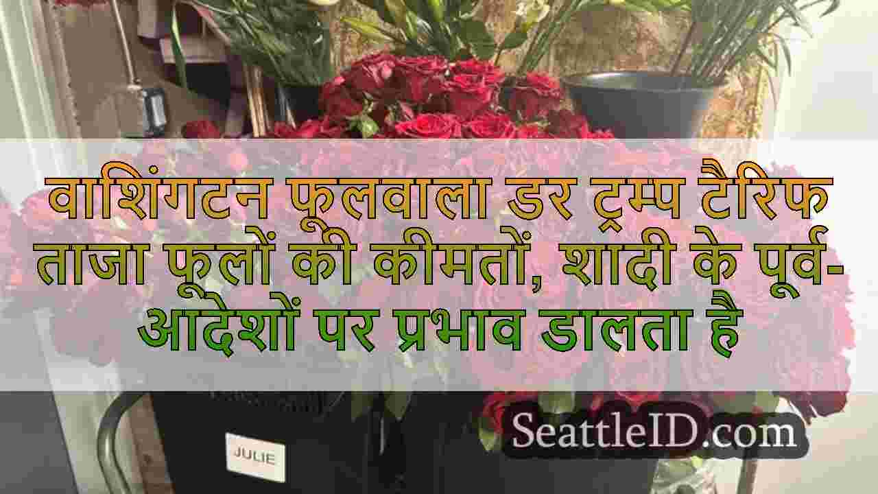 सिएटल समाचार SeattleID