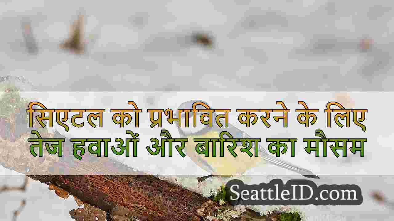 सिएटल समाचार SeattleID