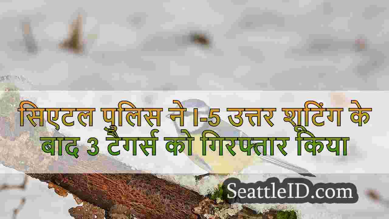 सिएटल समाचार SeattleID
