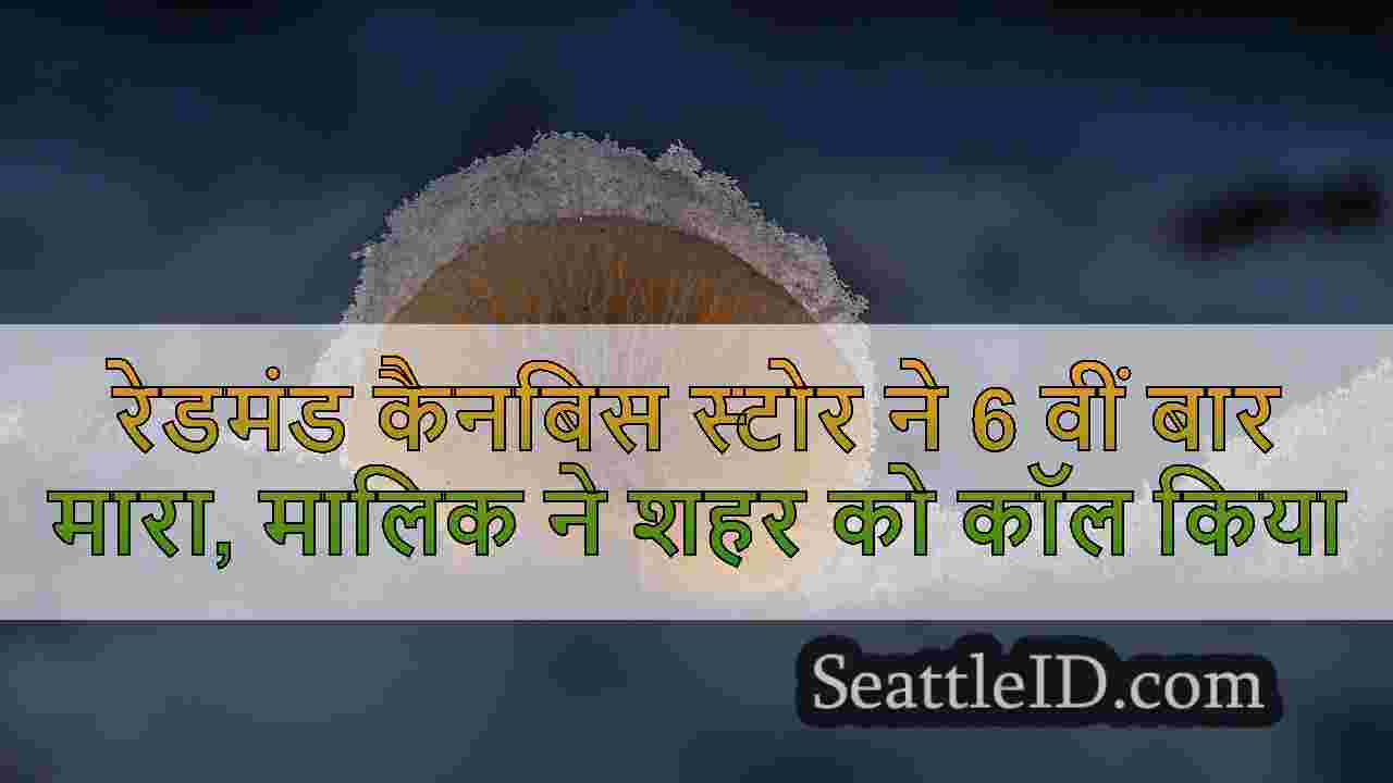 सिएटल समाचार SeattleID